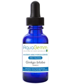 Ginkgo bourgeon – Aquagemm
