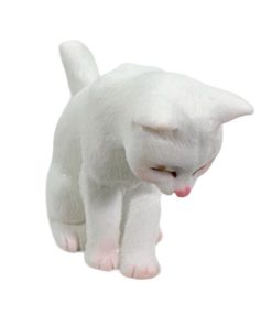 Chat blanc  » Bugsy « 