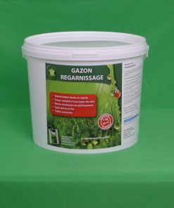 TEAM REGARNISSAGE (GAZON) 1KG TEAM GREEN