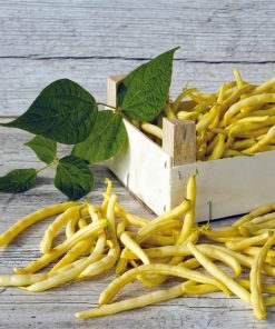 HARICOT À RAMES NECKARGOLD BEURRE AB