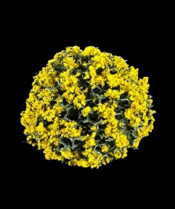 Buissons fleuris jaune – Lot de deux