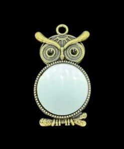 Miroir Hibou – Cadre bronze