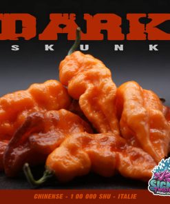 Plant de piment Fort Dark Skunk