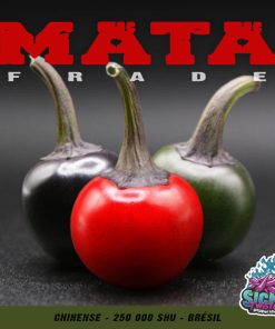 Plant de piment Fort Mata Frade