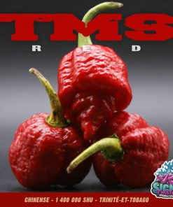 Plant de piment Fort TMS Red