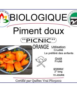 Plant de piment doux Picnic Orange